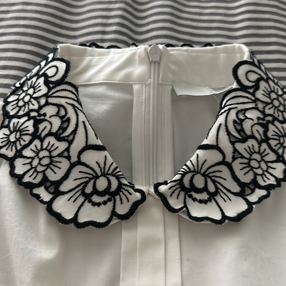 Collared Shirt - Picture 3 of 7